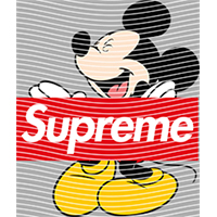 Brand Catalog-ZX 1023